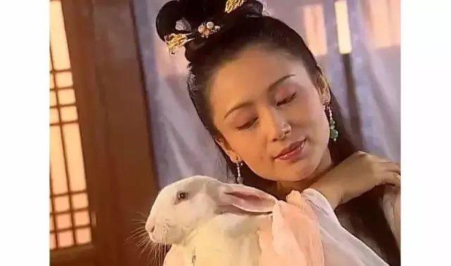 嫦娥应侮偷灵药，初生羊羔闯前方是什么生肖请全面2释义、解释与落实、构建解答解释落实